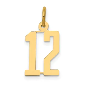 14K Yellow Gold Polished Finish Small Size Elongated Shape Number 12 Charm Pendant