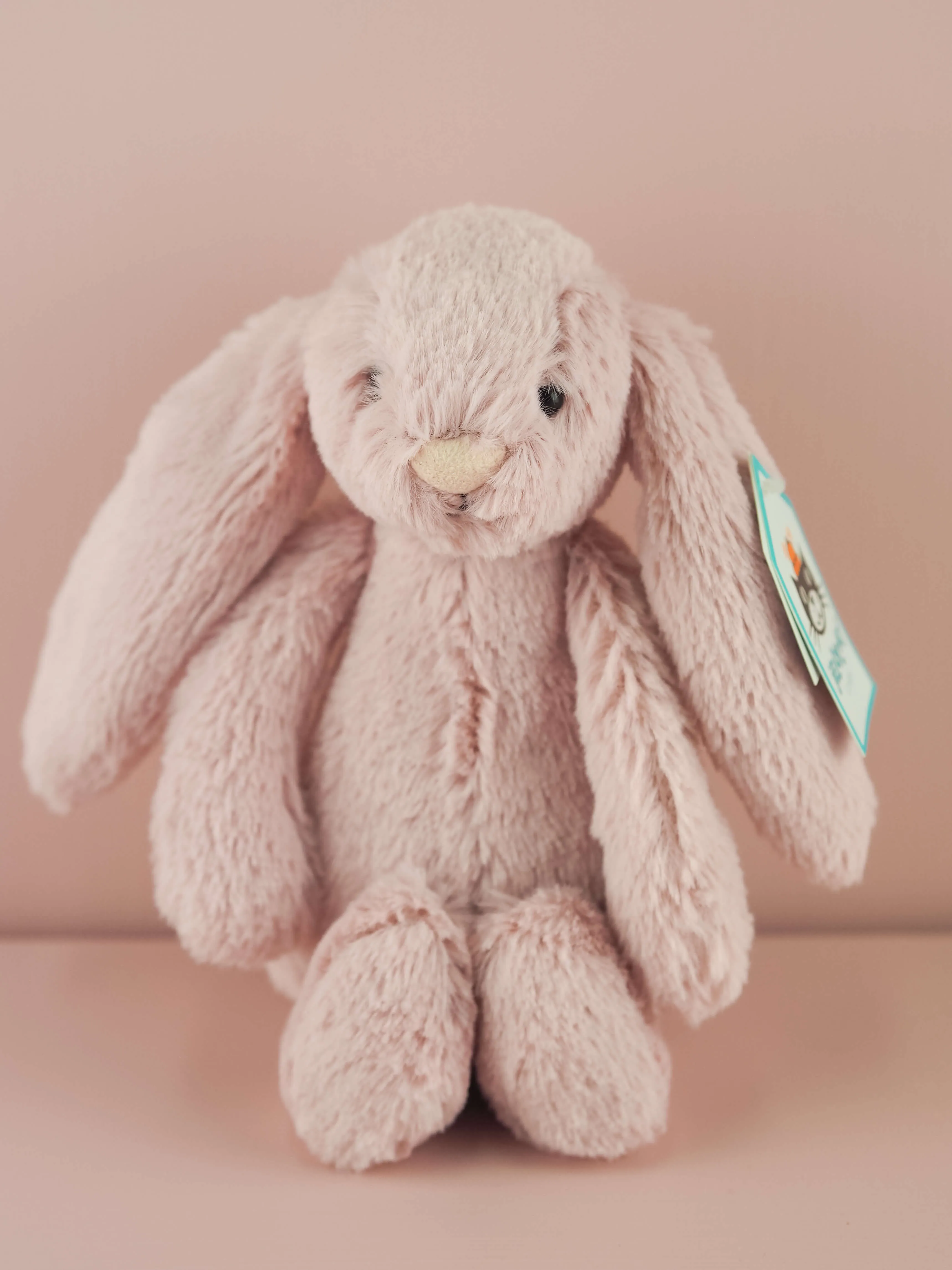 Bashful Bunny Small