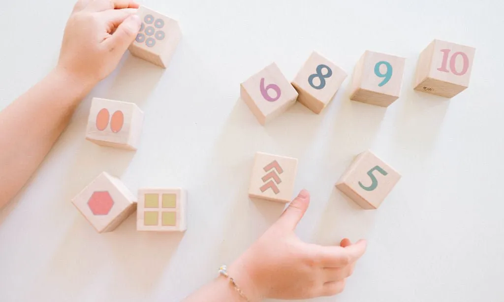 Boho Number   Counting Shape Blocks