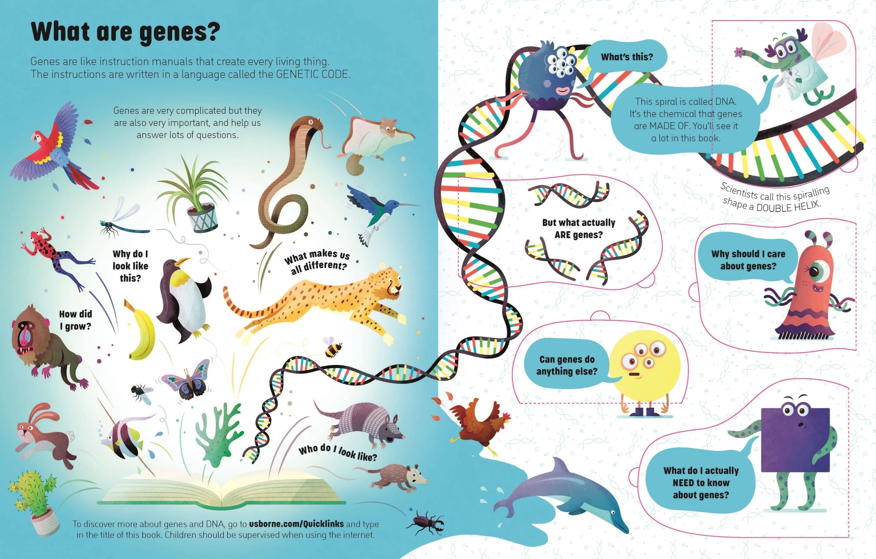 Book - See Inside Genes And DNA