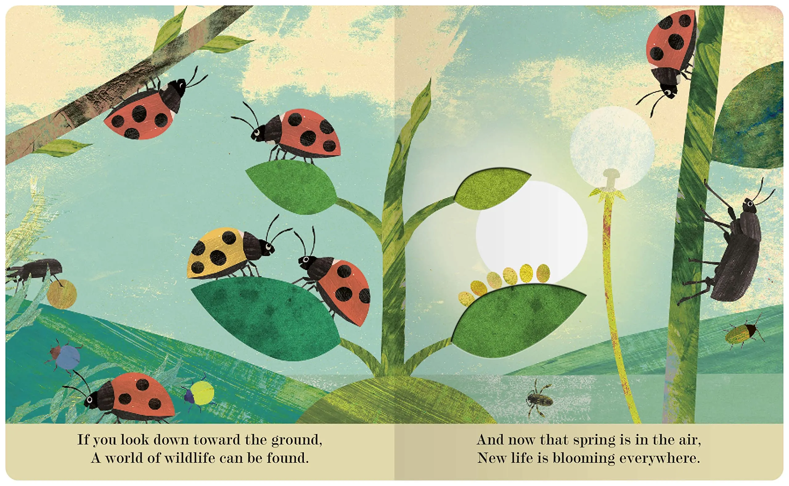 Bugs: A Peek-Through Picture Book