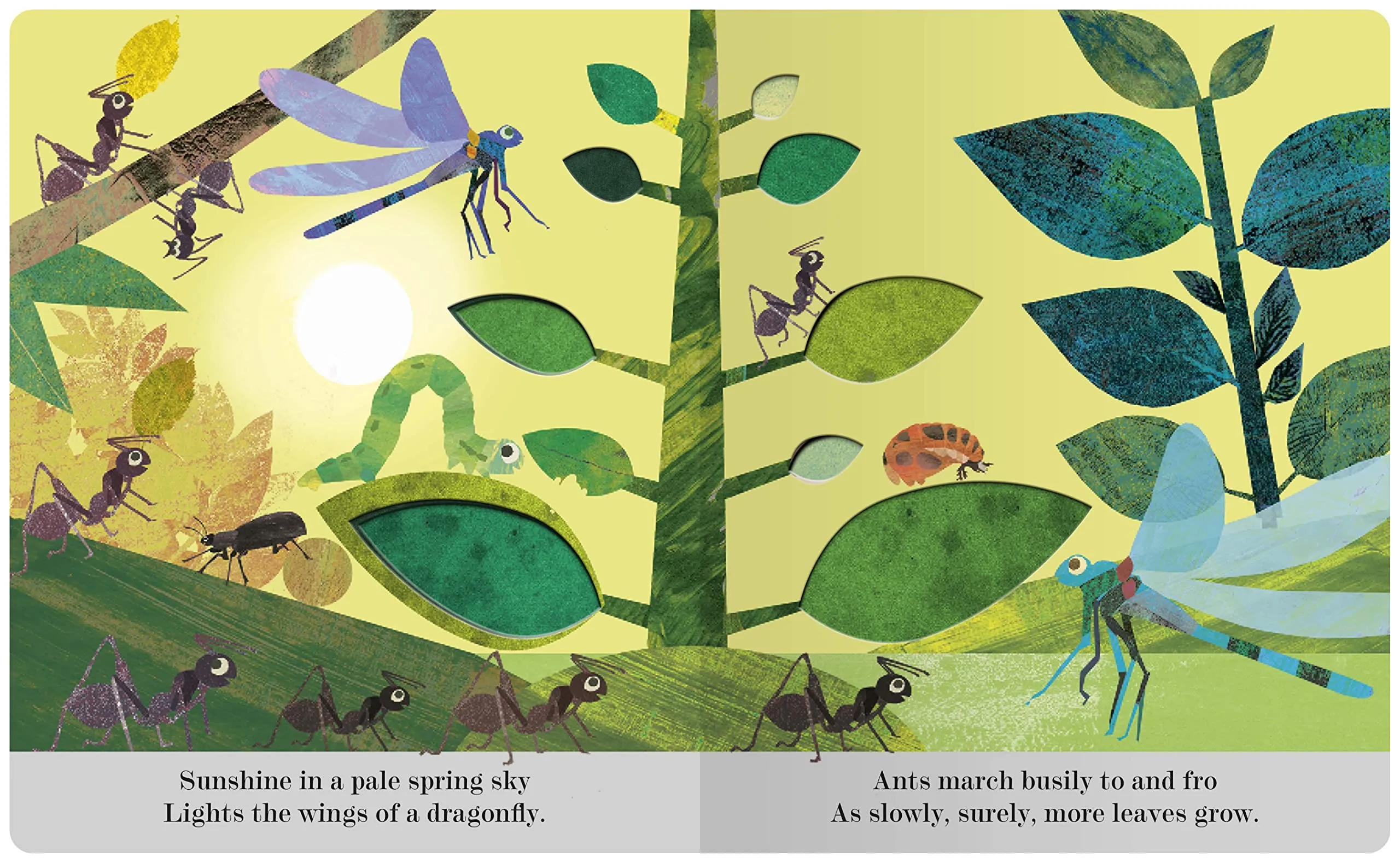 Bugs: A Peek-Through Picture Book