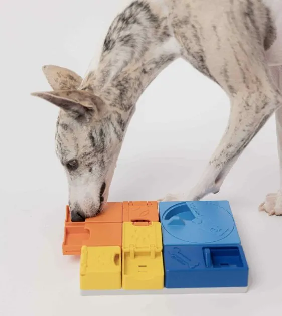 Pawzler Innovative Modular Dog Puzzles (Rainbow Set With Base)